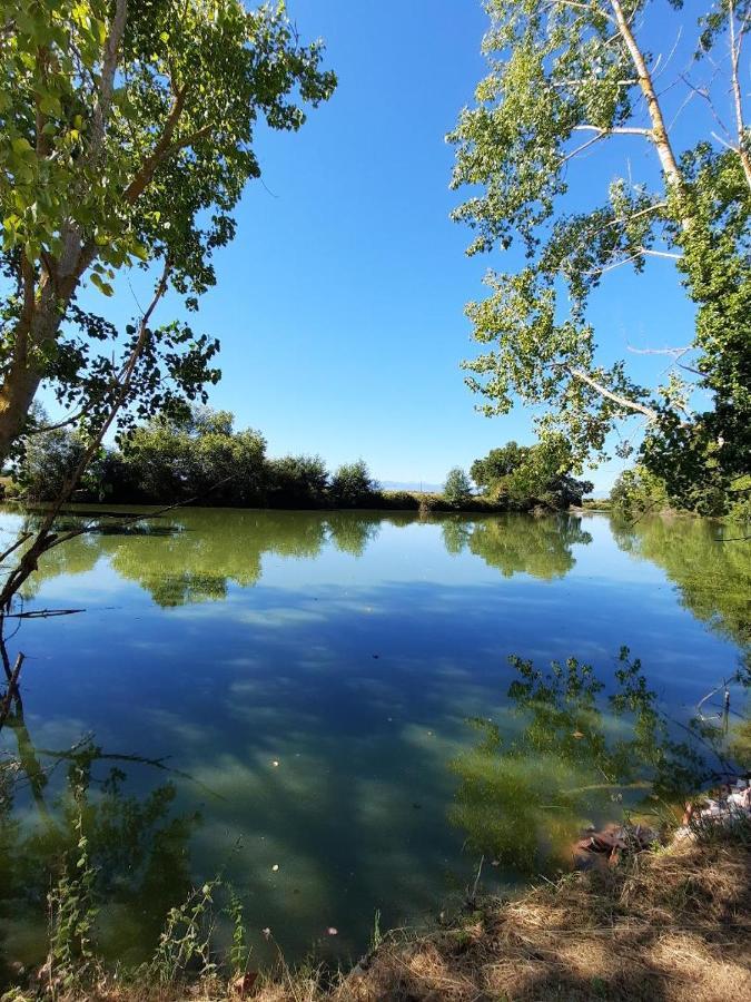 Demeure De Charme Lägenhet Mazères Exteriör bild